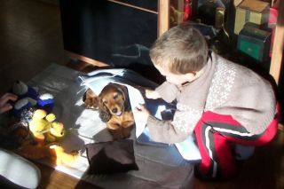 Jamnik d�ugow�osy NAILA